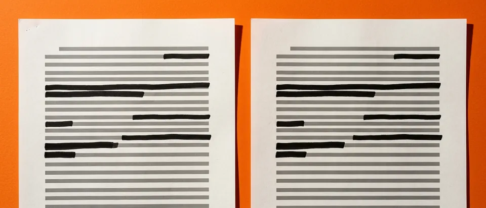Two near-identical essays side by side with highlighted passages